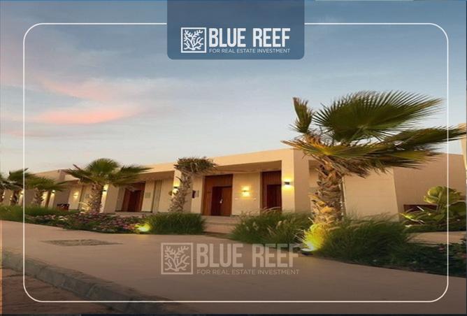 8397246 - صورة العقار 2