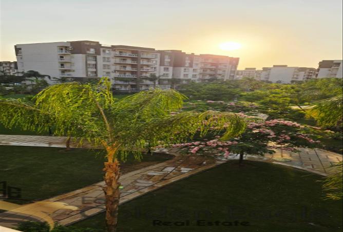 7966288 - صورة العقار 2
