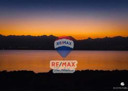 Chalet - 1 bedroom for للبيع in Soma Breeze - Soma Bay - Safaga - Hurghada - Red Sea Chalet - 1 bedroom for للبيع in Soma Breeze - Soma Bay - Safaga - Hurghada - Red Sea