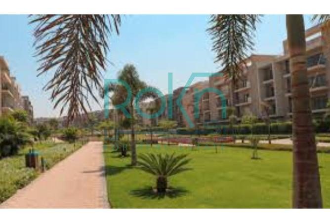 8233146 - Property Image 3