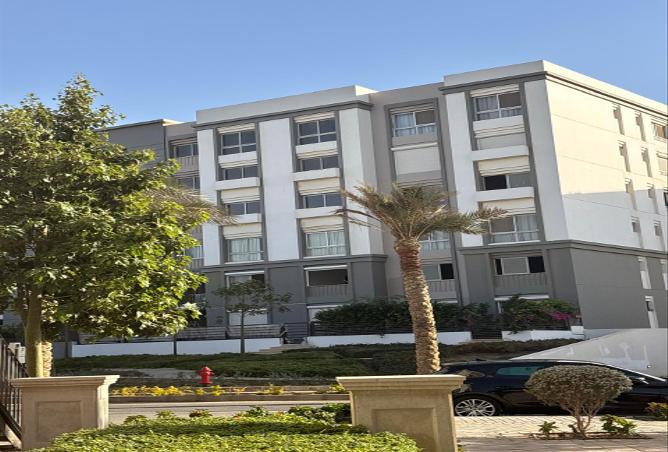 7988236 - الصورة الرئيسية للعقار