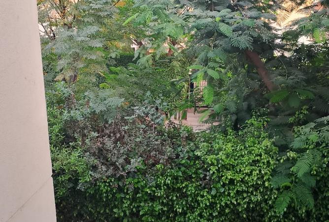 8313103 - صورة العقار 2