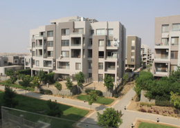 eg