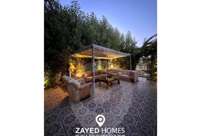 8252684 - صورة العقار 3