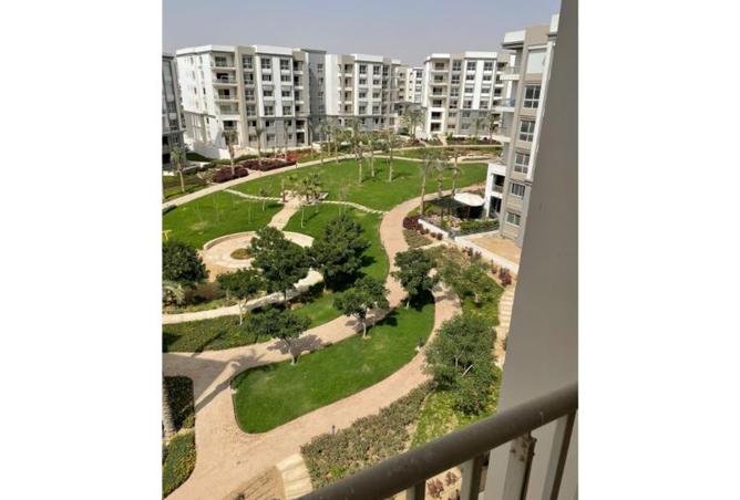 8165279 - Property Image 2