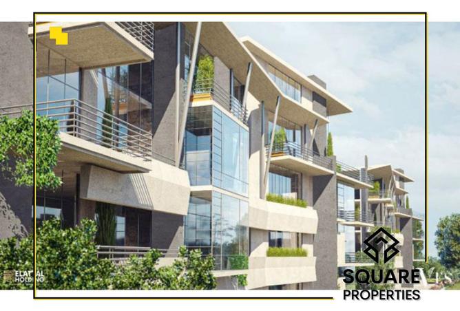 8129145 - Property Image 3
