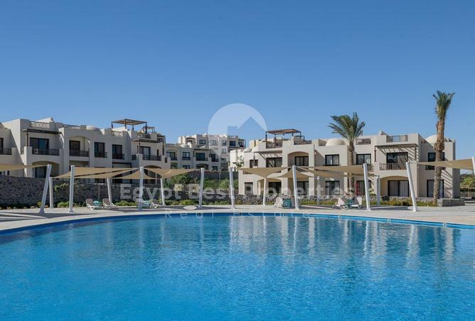 8395559 - Property Image 2