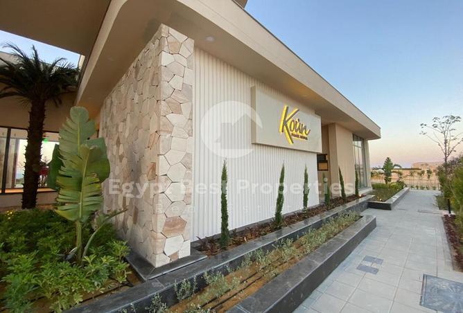 8000784 - Property Image 3