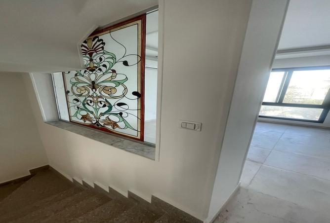 7982571 - Property Image 3