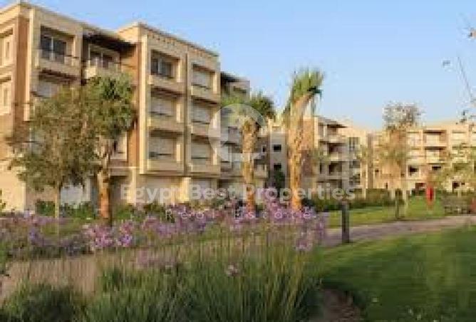 8165052 - صورة العقار 3