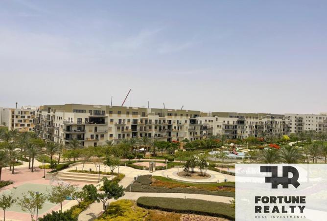 8341225 - Property Image 3