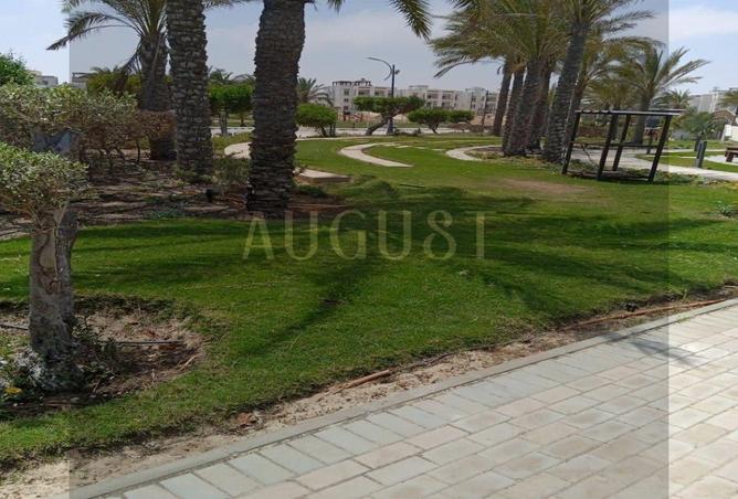 8289764 - Property Image 3