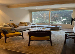 Super Finished and Decorated Apartment in Zamalek.