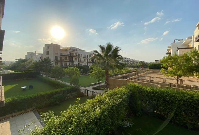 8303949 - Property Image 3