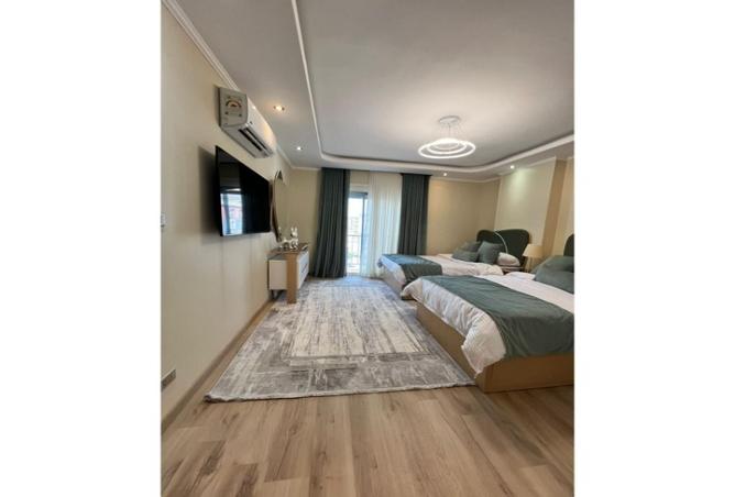 7980286 - Property Image 3