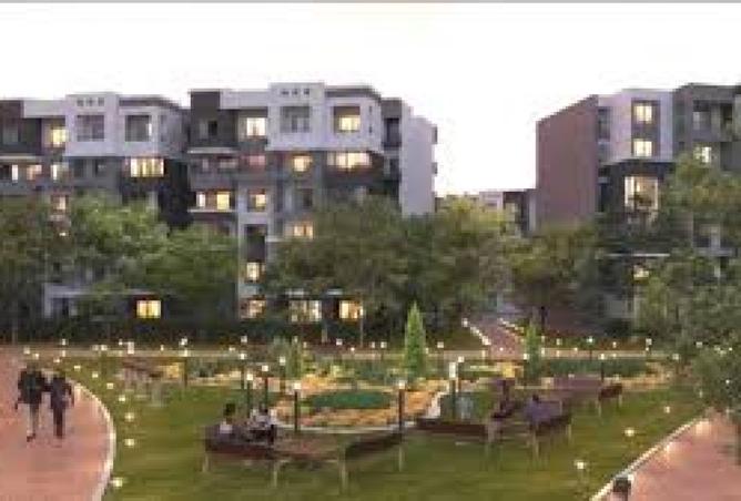 8014905 - Property Image 3