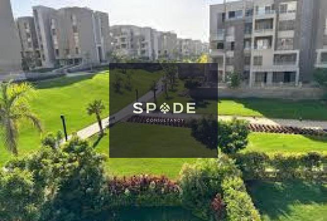 8035369 - صورة العقار 3