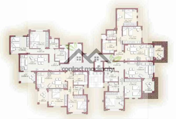 8184285 - Property Image 3