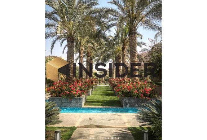 8439245 - صورة العقار 3