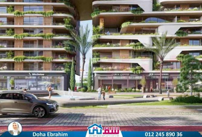 7889297 - Property Image 2
