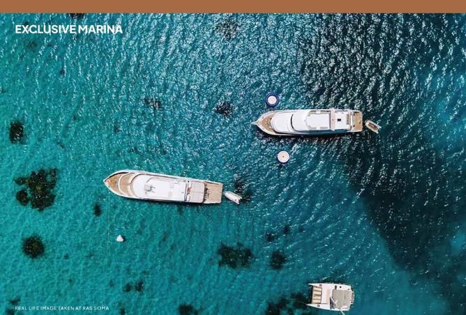 8239662 - صورة العقار 3