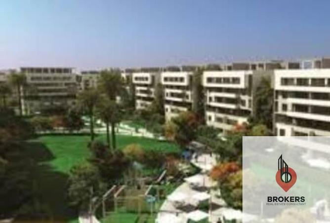 8175380 - Property Image 3