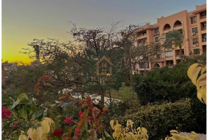 8146258 - Property Image 2