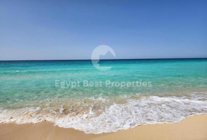7968461 - صورة العقار 2