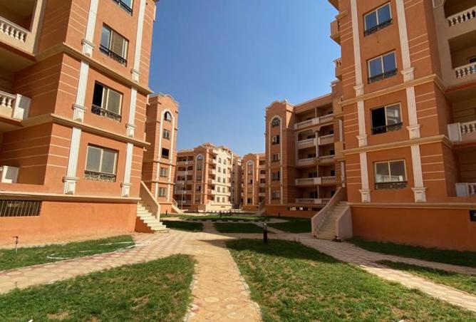 8382885 - Property Image 3