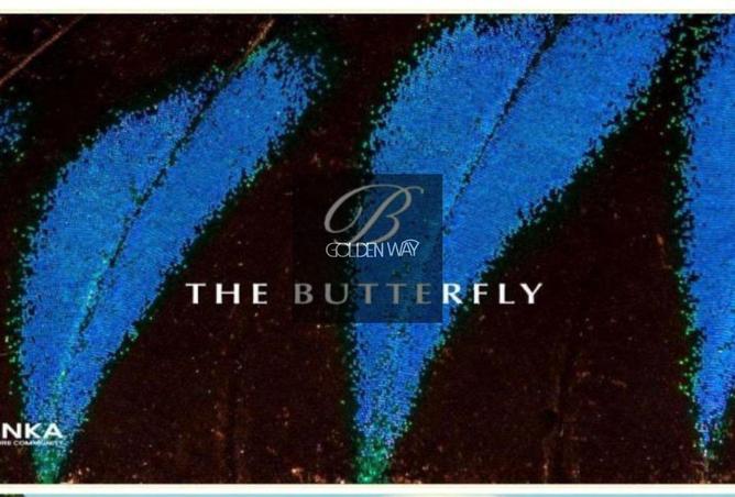 8559315 - الصورة الرئيسية للعقار