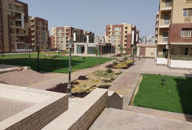 8142076 - Property Image 2