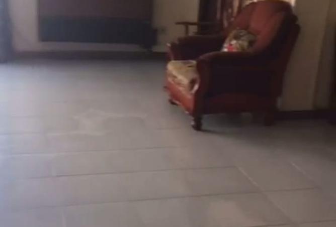 8162251 - صورة العقار 3