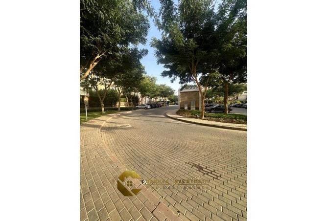 8146835 - Property Image 2