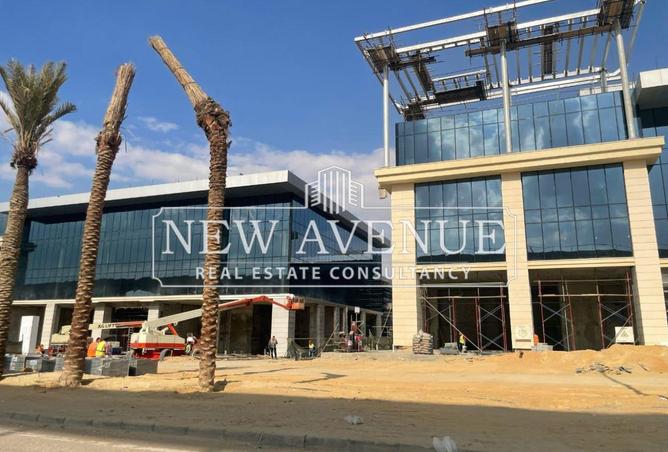 7986167 - Property Image 2