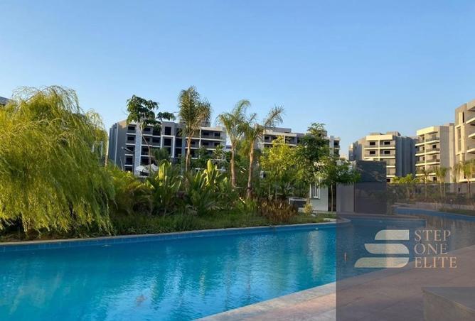 8074107 - Property Image 3
