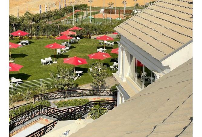 8162352 - Property Image 3