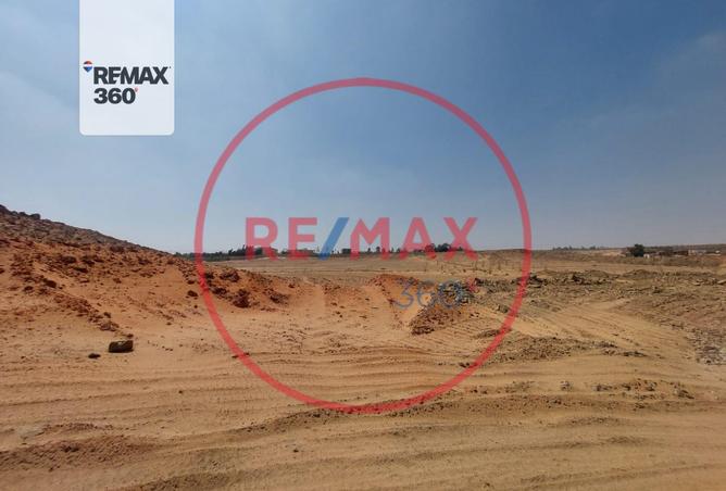 8417054 - Property Image 3