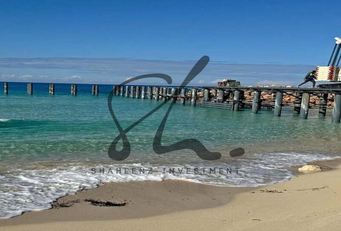 7926302 - Property Image 3