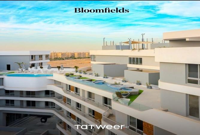 8177509 - Property Main Image