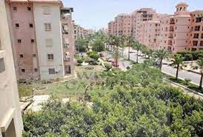 8171789 - صورة العقار 2