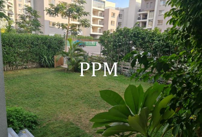 8218116 - Property Image 2