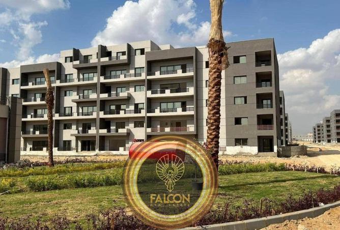 8447618 - Property Image 2