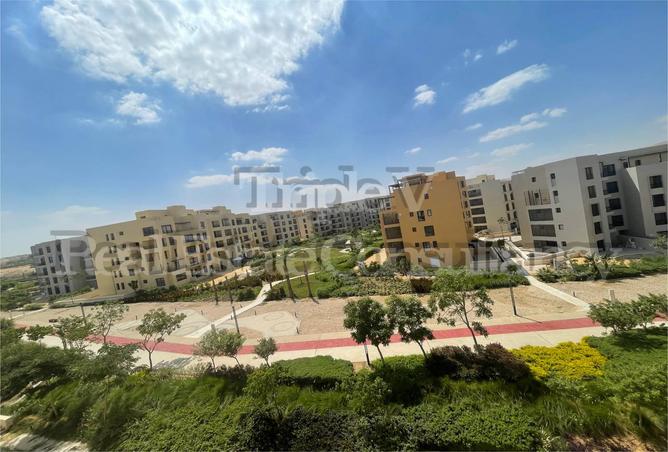 7966816 - الصورة الرئيسية للعقار