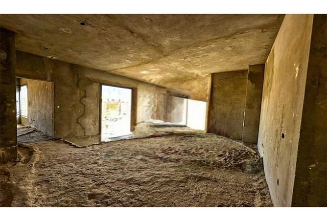 7981933 - Property Image 3