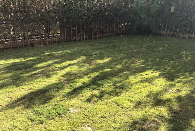 8225600 - الصورة الرئيسية للعقار