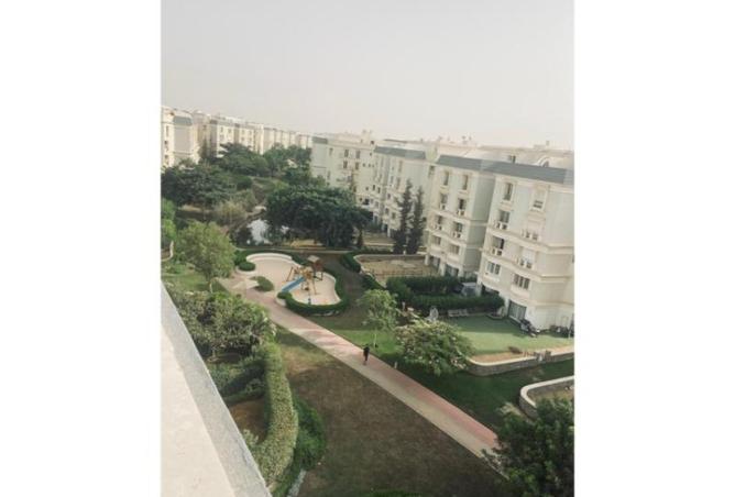 8056317 - Property Image 3