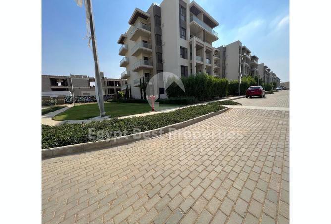 7977939 - Property Image 3