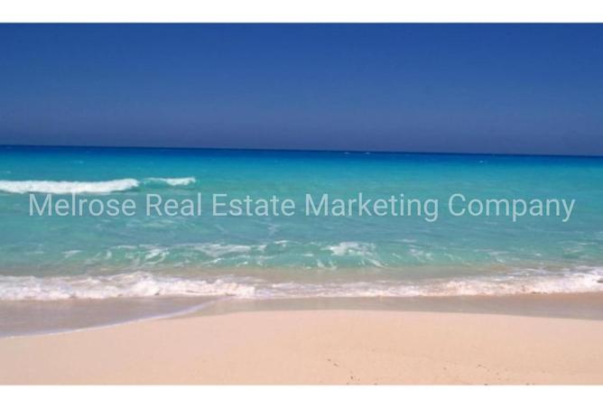 7878232 - الصورة الرئيسية للعقار