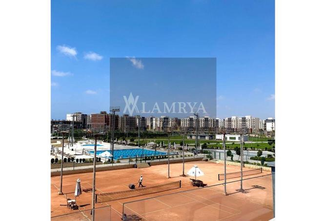 8132659 - Property Image 3
