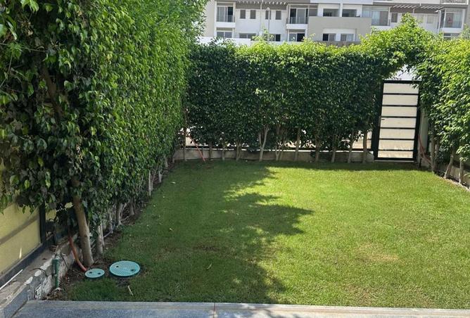 8050104 - Property Image 3